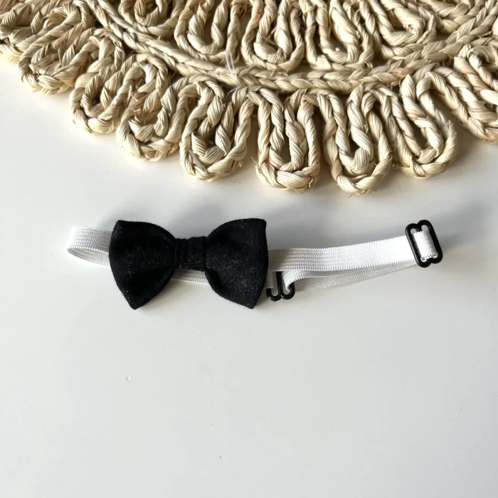 Božični metuljček